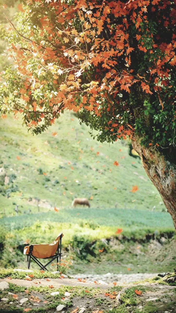 Autumn Haze