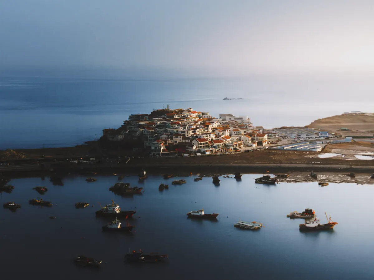 Harbor in Stillness