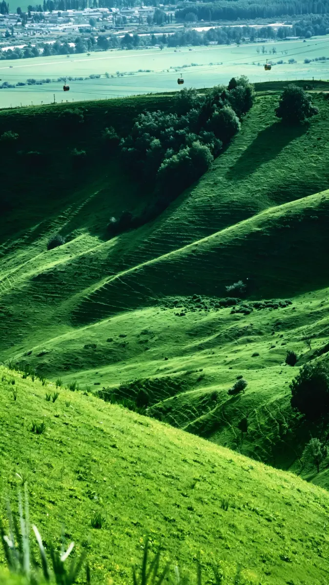 Line of the Ridge