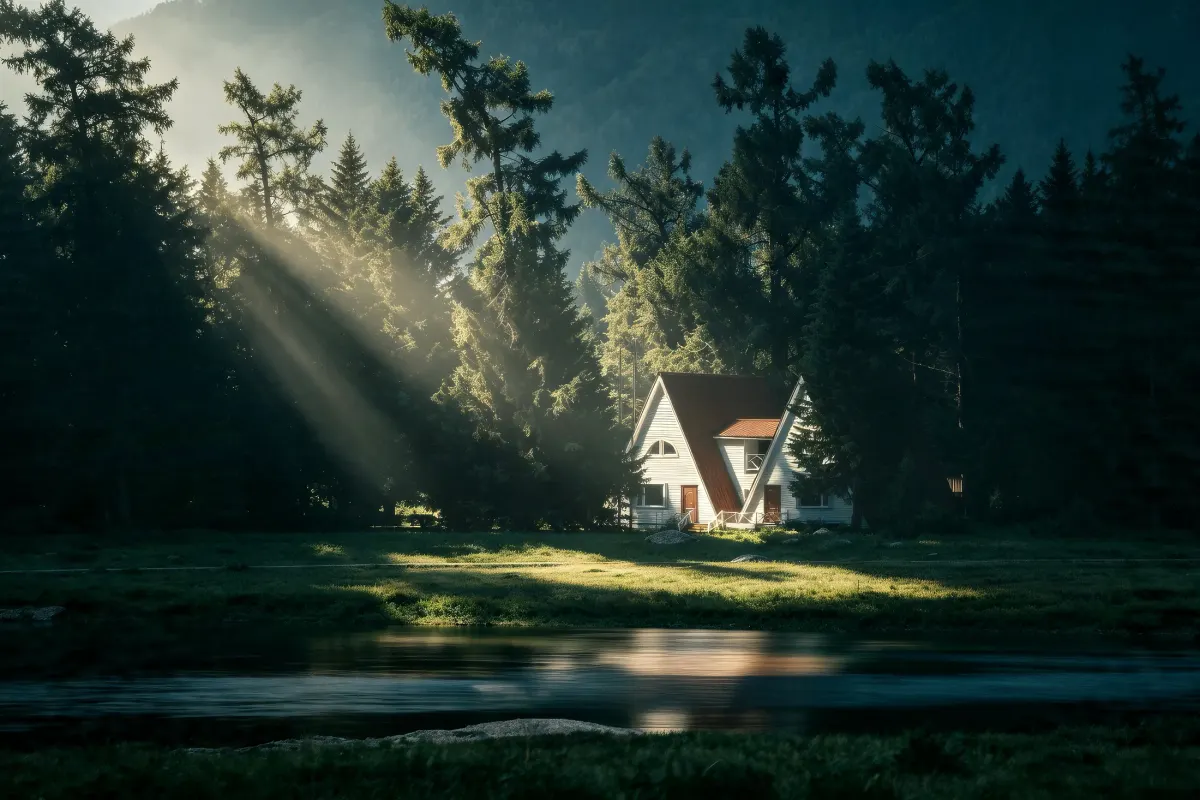 Cottage in Misty Woods 3