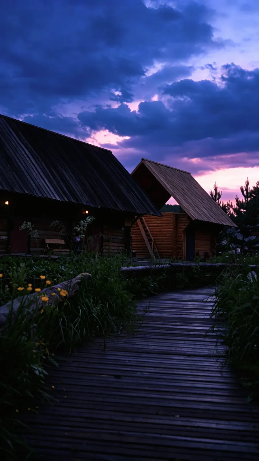 Before Night Falls