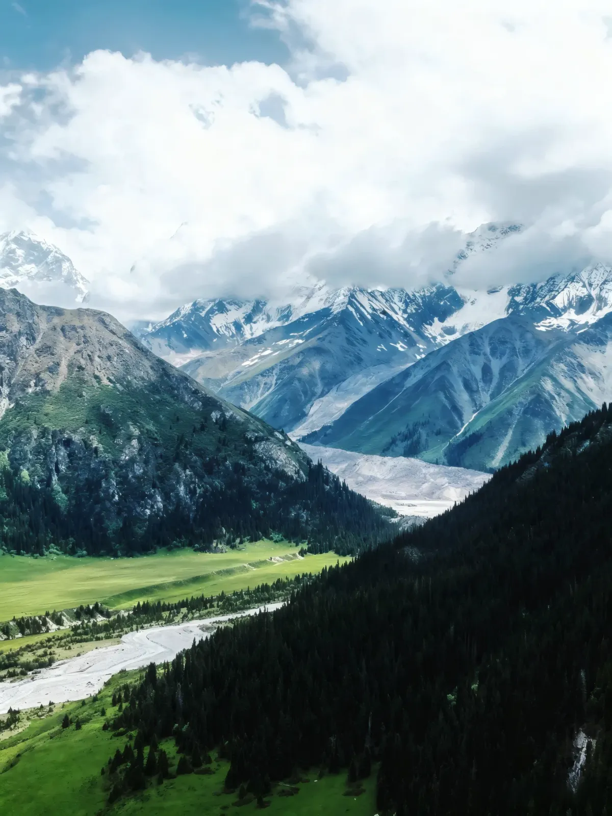 Below the Snowline
