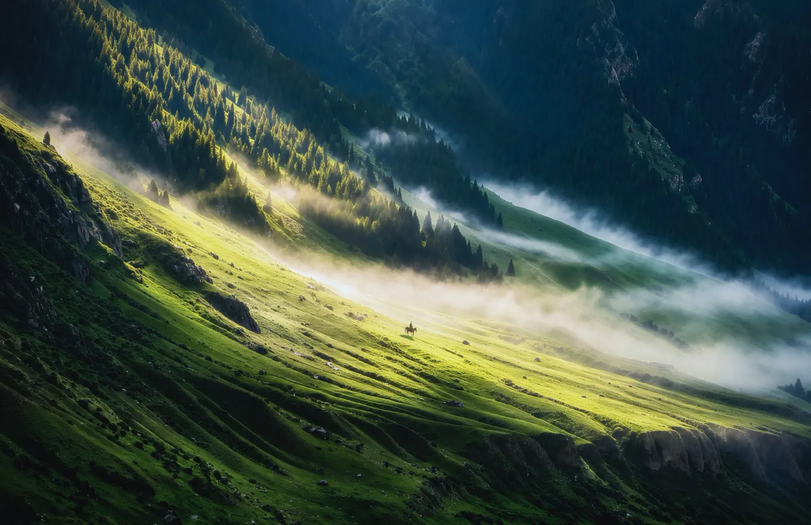 Morning on the Slope