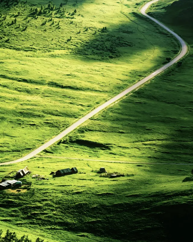 Along the Green Path