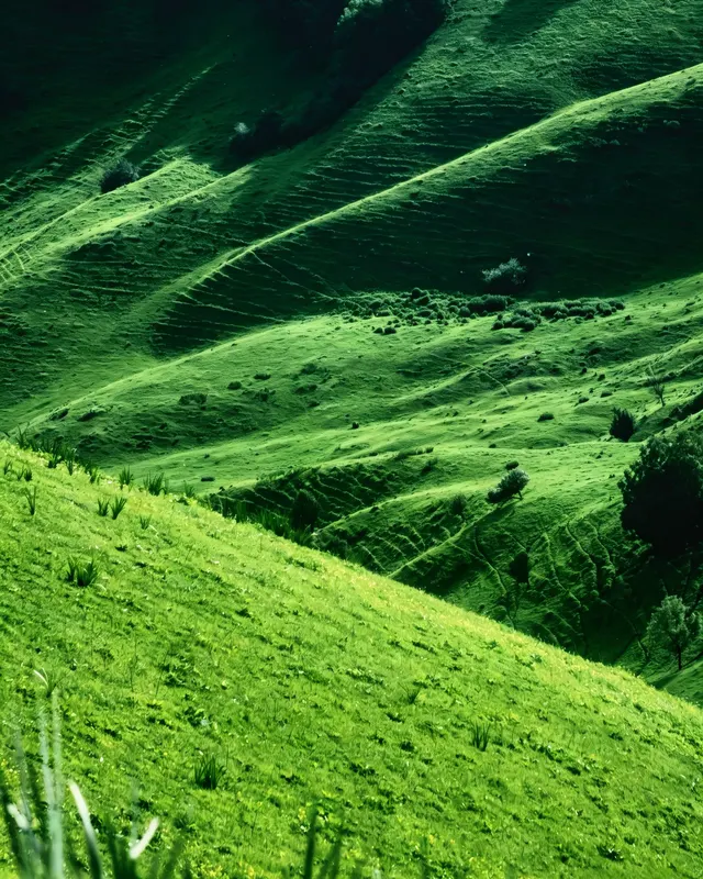 Line of the Ridge