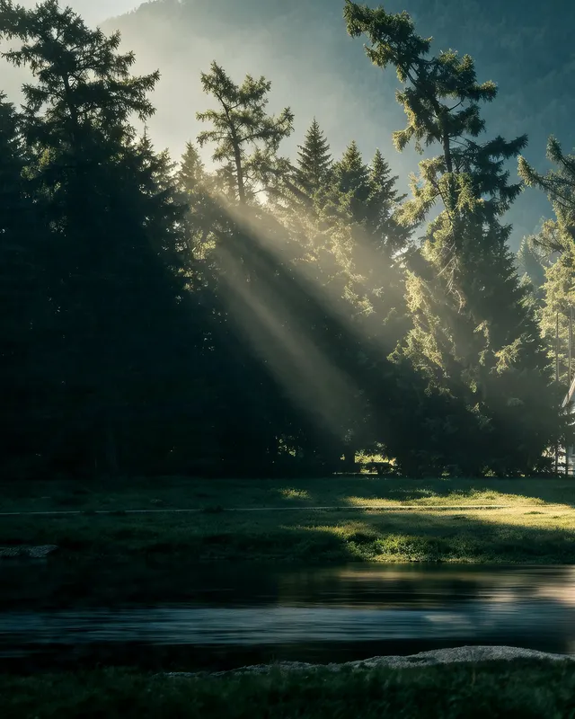 Cottage in Misty Woods 3